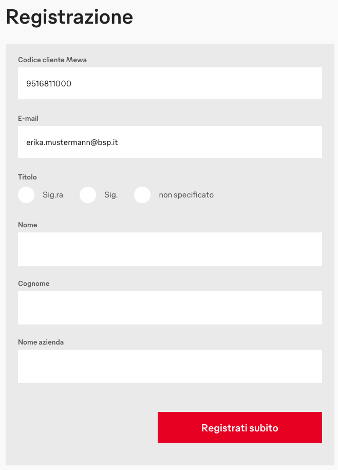 IT_Registrierung.png